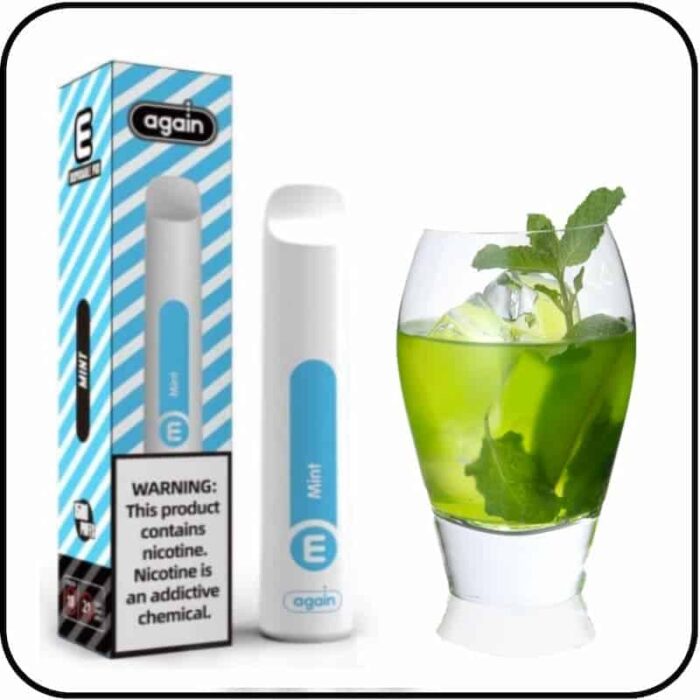 Again Disposable Vape Mint 1500 Puffs