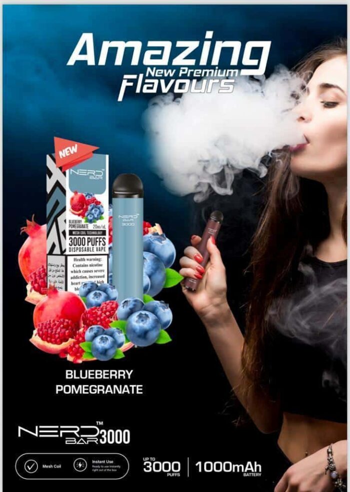 Blueberry Pomegranate New Best Vape Store UAE Online | Dxb Vape Club Online Nerd Bar 3000 Puffs Disposable Pod Vape In Dubai