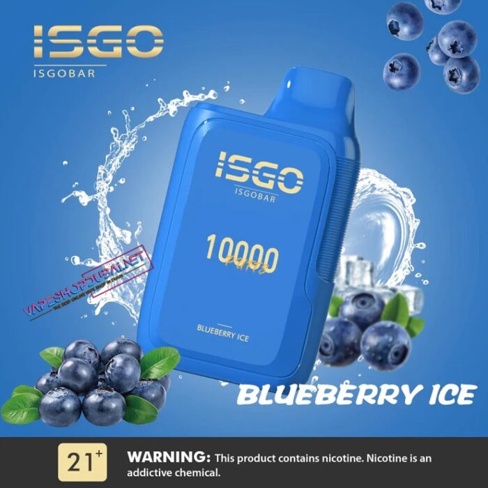 Isgo Bar 10000 Puffs Disposable Vape Blueberry Ice