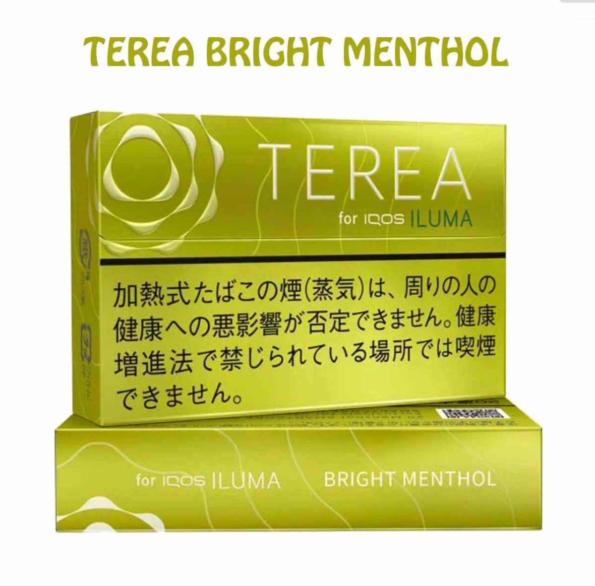 TEREA BRIGHT MENTHOL FOR IQOS ILUMA IN DUBAI UAE - Image 3