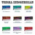 Iqos Heets Terea Indonesian