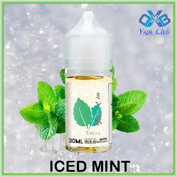 Tokyo-Salt-Nic-E-liquid-30ml-Ice-Mint