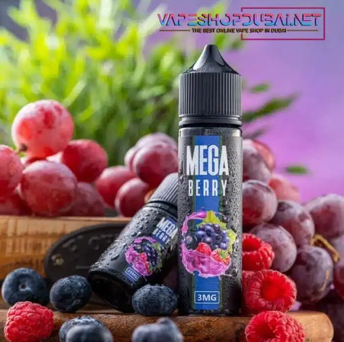 mega 60ml ejuices Best Vape Store UAE Online | Dxb Vape Club Online Mega 12mg Nicotine Vape Juice 60ml In Dubai