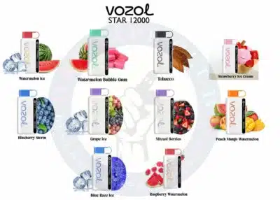 VOZOL STAR 12000 Puffs Disposable Kit In UAE Best Vape Store UAE Online | Dxb Vape Club Online Vozol Star Disposable Vape Kit 12000 Puffs - AED 45