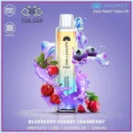 Hayati-Pro-Max-Blueberry-Cherry-Cranberry-4000-Puffs-Disposable-Vape-in-Dubai-UAE