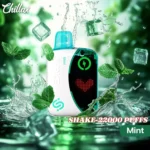 Mint-By-Chillax-Shake-22000-Puffs-Disposable-Vape