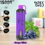 Ghost Shisha Disposable Vape 15000 Puffs - AED 45 - Image 4