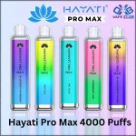 Hayati Pro Max 4000 Puffs Disposable Vape In Dubai UAE