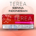IQOS TEREA Sienna Indonesian in Dubai