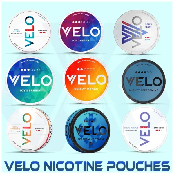 Best Velo Nicotine Pouches All Flavor in Dubai UAE